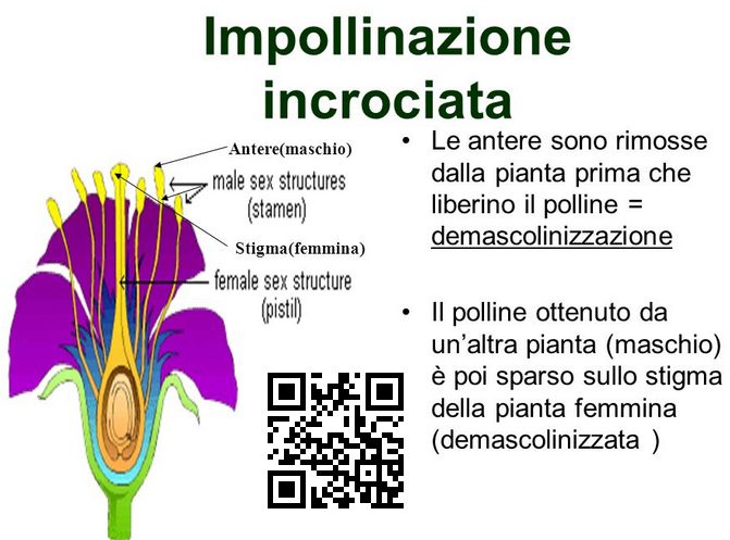 scopri la dominanza di chatgpt, il leader nell'intelligenza artificiale conversazionale. approfondisci come questa tecnologia sta rivoluzionando il modo in cui interagiamo con le macchine e ottimizza le comunicazioni nel business e nella vita quotidiana.